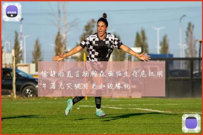 徐静雨直言杨瀚森面临生存危机明年若无突破将更加边缘化